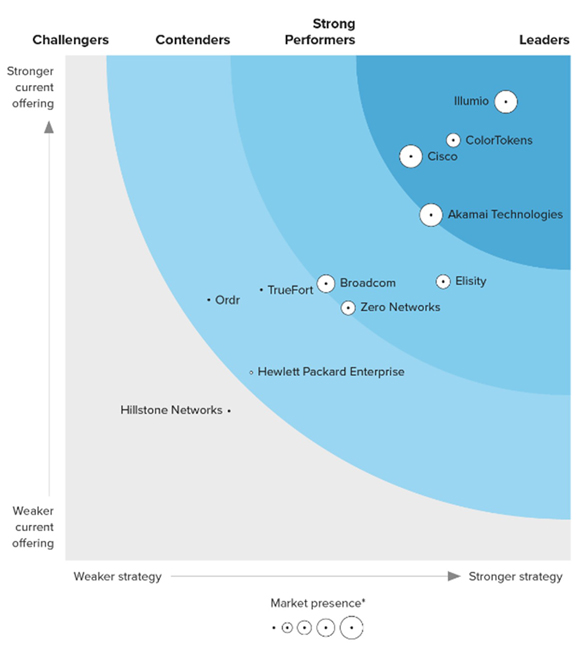 proware_solution_colortokens_forrester_wave_2024